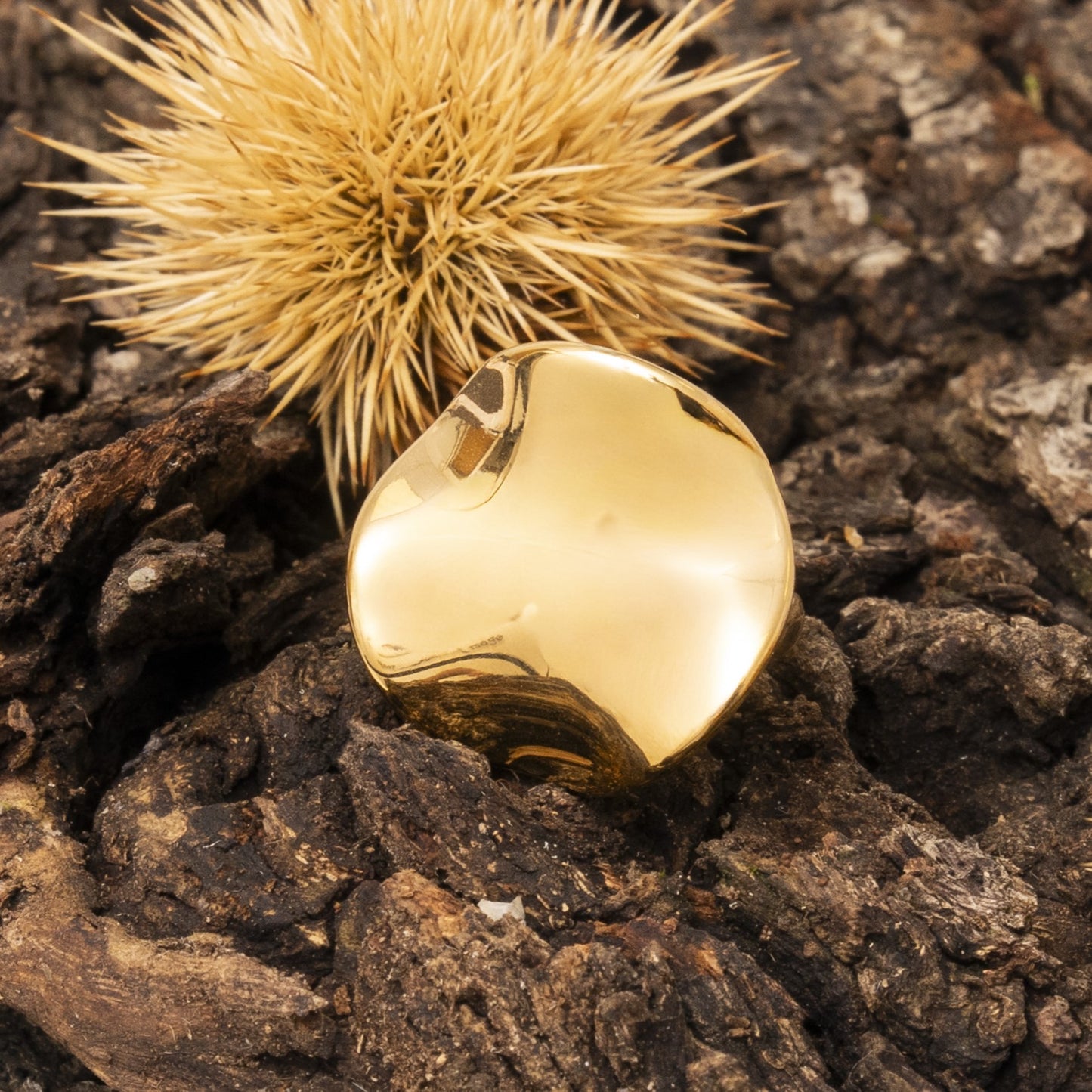 Anello Nèmesi® - Edizione Esclusiva