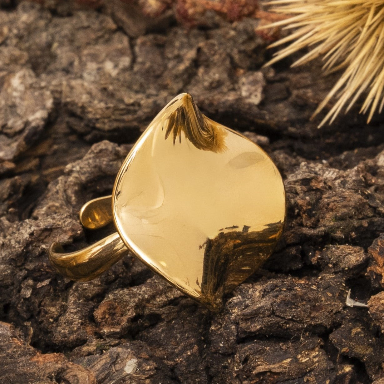 Anello Nèmesi® - Edizione Esclusiva